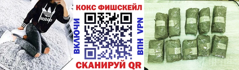 Cocaine 99%  Шадринск 
