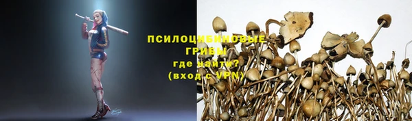 дживик Беломорск