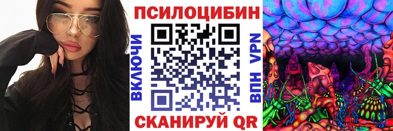 ссылка на мегу маркетплейс  купить закладку  Шадринск  дарк нет официальный сайт  Галлюциногенные грибы мухоморы 